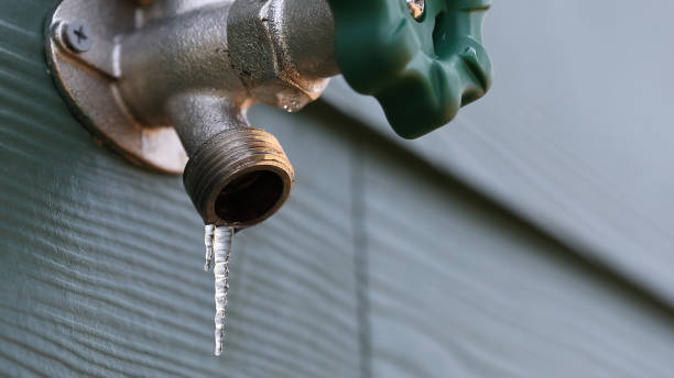 Best Plumbing Inspection Services  in Everman, TX